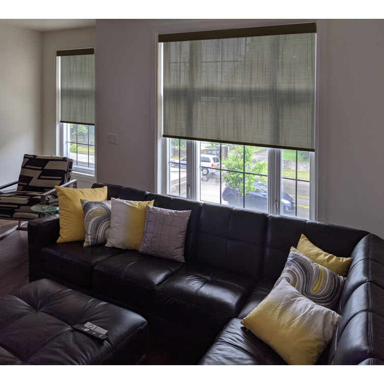 Symple Stuff Contemporary Chainless Sheer Roller Shade Wayfair.ca